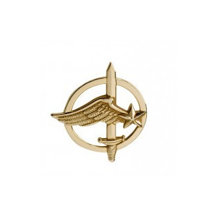 Insigne de béret doré Commandos de l'Air