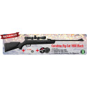 Pack Noël Carabine GAMO Big Cat 1000