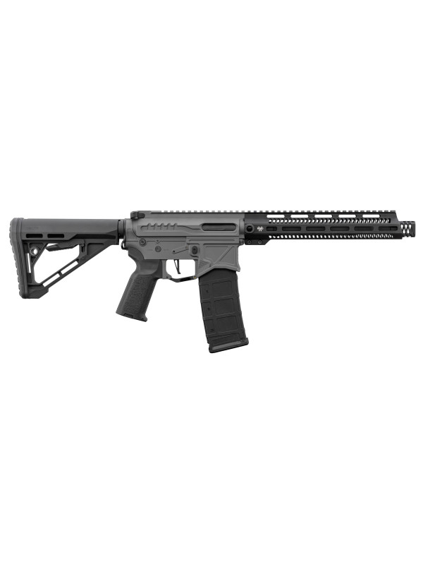 Réplique R15 mod 1 Zion Arms noir/gris garde main long