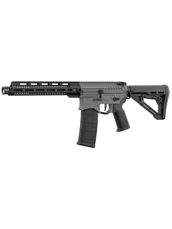 Réplique R15 mod 1 Zion Arms noir/gris garde main long