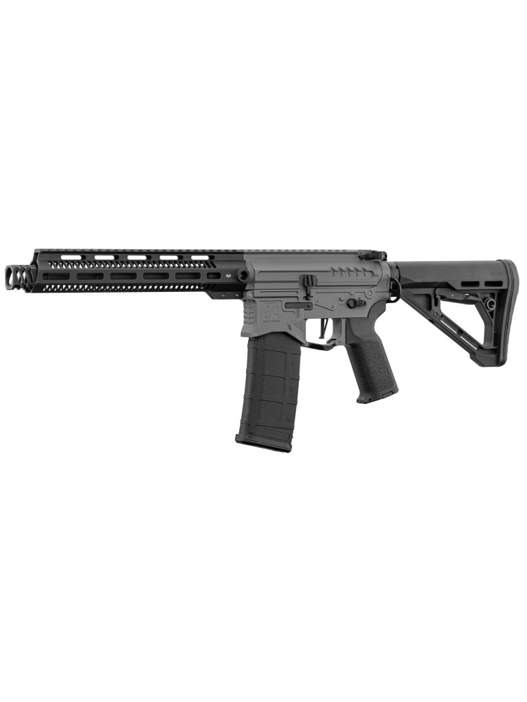 Réplique R15 mod 1 Zion Arms noir/gris garde main long