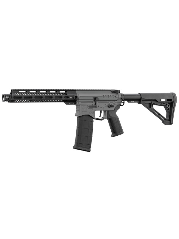 Réplique R15 mod 1 Zion Arms noir/gris garde main long