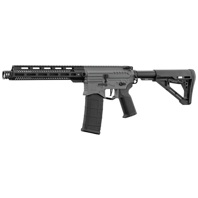 Réplique R15 mod 1 Zion Arms noir/gris garde main long