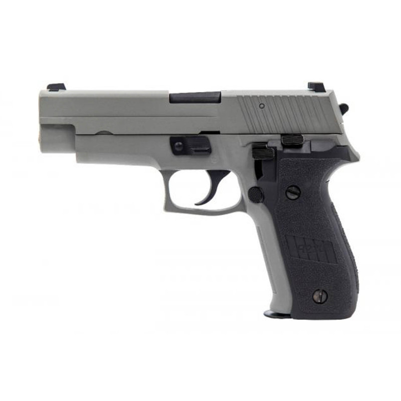 Réplique GBB Raven R226 Gris