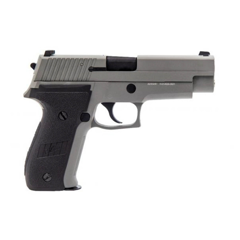 Réplique GBB Raven R226 Gris