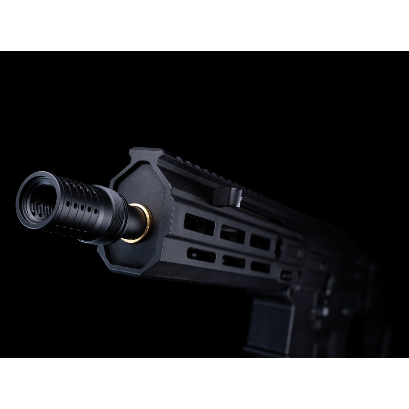 REPLIQUE LONGUE 6MM FLCN 5.56 M95 NOIRE