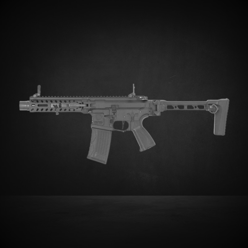 FAR 556 G&G Armament AEG