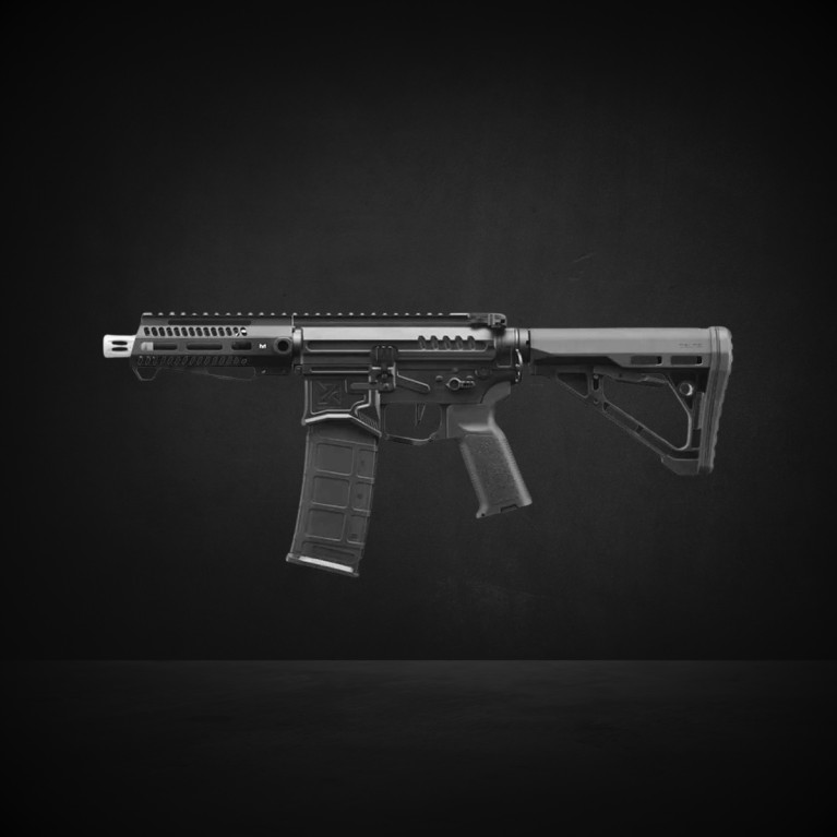 Réplique R15 mod 1 Zion Arms noire garde main court