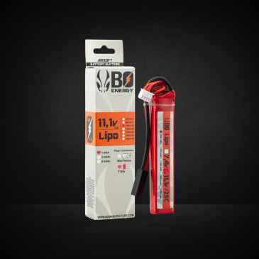1 stick batterie Lipo 3S...