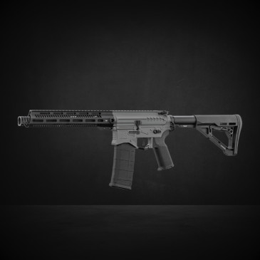 R15 mod 1 Zion Arms...